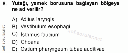 8. soru: Yutağı, yemek borusuna bağlayan bölgeye ne ad verilir? A) Aditus laryngis B) Vestibulum esophagi C) İsthmus faucium D…