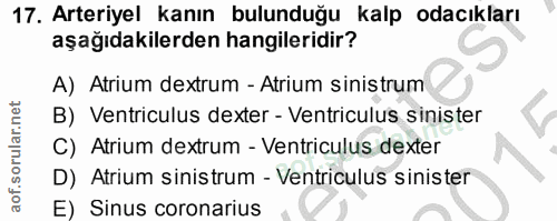 17. soru: Arteriyel kanın bulunduğu kalp odacıkları aşağıdakilerden hangileridir? A) Atrium dextrum - Atrium sinistrum B) Ventr…