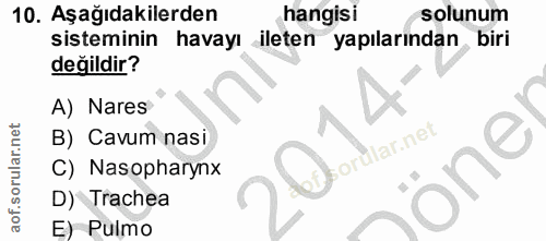 10. soru: Aşağıdakilerden hangisi solunum sisteminin havayı ileten yapılarından biri değildir? A) Nares B) Cavum nasi C) Nasoph…