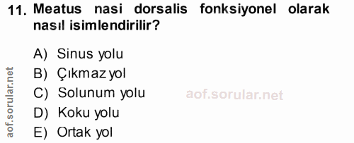 11. soru: Meatus nasi dorsalis fonksiyonel olarak nasıl isimlendirilir? A) Sinus yolu B) Çıkmazyol C) Solunum yolu D) Koku yolu…