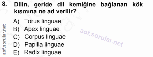 8. soru: Dilin, geride dil kemiğine bağlanan kök kısmına ne ad verilir? A) Torus linguae B) Apex linguae C) Corpus linguae D)…