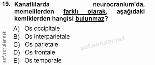 19. soru: Kanatlılarda neurocranium' da, memelilerden farklı olarak, aşağıdaki kemiklerden hangisi bulunmaz? A) Os occipitale B…