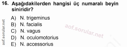 16. soru: Aşağıdakilerden hangisi üç numaralı beyin siniridir? A) N. trigeminus B) N. facialis C) N. vagus D) N. oculomotorius…