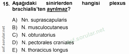 15. soru: Aşağıdaki sinirlerden hangisi plexus brachialis'ten ayrılmaz? A) Nn. suprascapularis net B) N. musculocutaneus ar. C)…