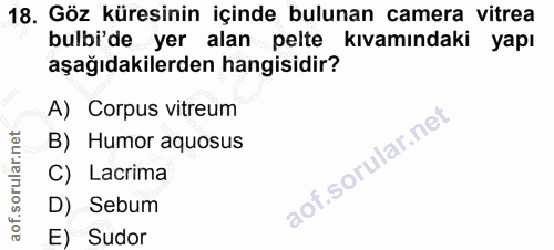 18. soru: Göz küresinin içinde bulunan camera vitrea bulbi'de yer alan pelte kıvamındaki yapı aşağıdakilerden hangisidir? A) Co…