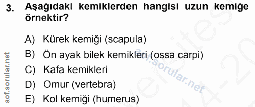 3. soru: Aşağıdaki kemiklerden hangisi uzun kemiğe örnektir? A) Kürek kemiği (scapula) B) Ön ayak bilek kemikleri (ossa carpi)…