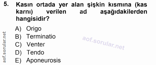 5. soru: Kasın ortada yer alan şişkin kısmına (kas karnı) verilen ad aşağıdakilerden hangisidir? A) Origo ar. B) Terminatio C)…