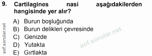 9. soru: Cartilagines nasi aşağıdakilerden hangisinde yer alır? A) Burun boşluğunda B) Burun delikleri çevresinde C) Genizde D…