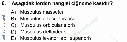 6. soru: Aşağıdakilerden hangisi çiğneme kasıdır? A) Musculus masseter B) Musculus orbicularis oculi ular.net C) Musculus orbi…