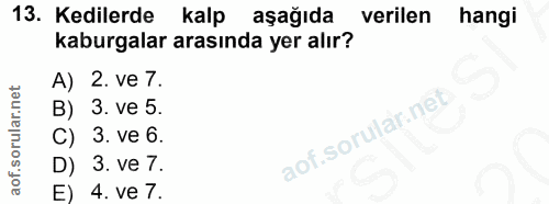 13. soru: Kedilerde kalp aşağıda verilen hangi kaburgalar arasında yer alır? A) 2. ve 7. 3. ve 5. C) 3. ve 6. D) 3. Ve 7. E) 4.…