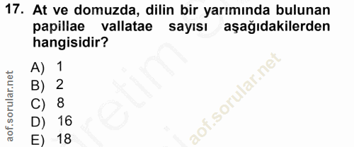 17. soru: At ve domuzda, dilin bir yarımında bulunan papillae vallatae sayısı aşağıdakilerden hangisidir? A) 1 2 16 18