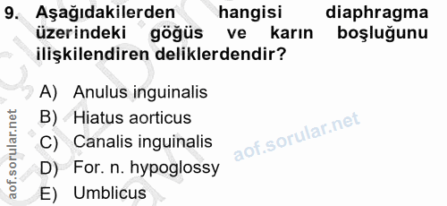 9. soru: Aşağıdakilerden hangisi diaphragma üzerindeki göğüs ve karın boşluğunu ilişkilendiren deliklerdendir? A) Anulus ingui…