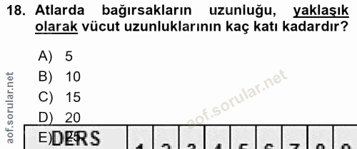 18. soru: Atlarda bağırsakların uzunluğu, yaklaşık olarak vücut uzunluklarının kaç katı kadardır? A) 5 B) 10 C) 15 D) 20 E)DERS