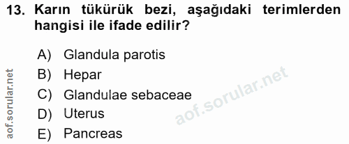 13. soru: Karın tükürük bezi, aşağıdaki terimlerden hangisi ile ifade edilir? A)Glandula parotis B) Hepar C) Glandulae sebaceae…
