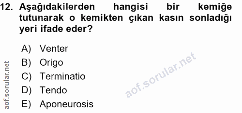 12. soru: Aşağıdakilerden hangisi bir Kemige tutunarak o kemikten çıkan kasın sonladiğı yeri ifade eder? A) Venter B) Origo C)…