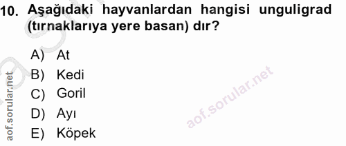 10. soru: Aşağıdaki hayvanlardan hangisi unguligrad (tırnaklarıya yere basan) dır? A) At B) Kedi C) Goril D) Ayı E) Köpek