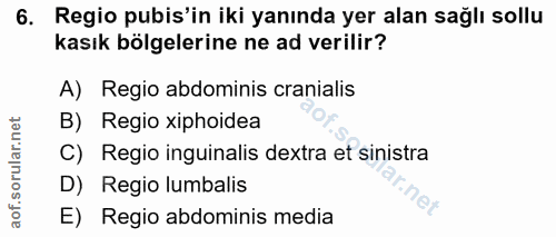 6. soru: Regio pbis'in iki yanında yer alan sağlı sollu kasık bölgelerine ne ad verilir? A) Regio abdominis cranialis B) Regio…