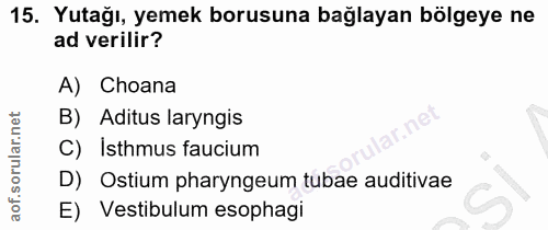 15. soru: Yutağı, yemek borusuna bağlayan bölgeye ne ad verilir? A) Choana B) Aditus laryngis C) Isthmus faucium D) Ostium phar…