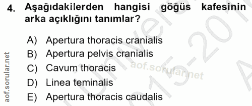4. soru: Aşağıdakilerden hangisi göğüs kafesinin arka açıklığını tanımlar? A) Apertura thoracis cranialis B) Apertura pelvis c…