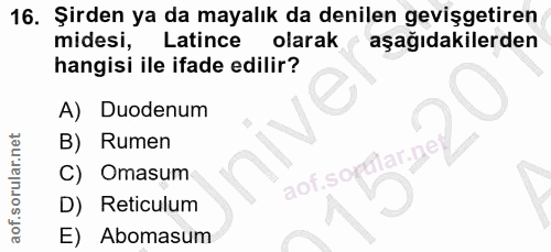 16. soru: Şirden ya da mayalık da denilen gevişgetiren midesi, Latince olarak aşağıdakilerden hangisi ile ifade edilir? A) Duod…