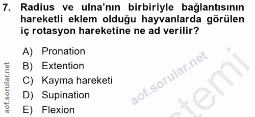 7. soru: Radius ve ula'nın birbiriyle bağlantısının hareketli eklem olduğu hayvanlarda görülen iç rotasyon hareketine ne ad ve…
