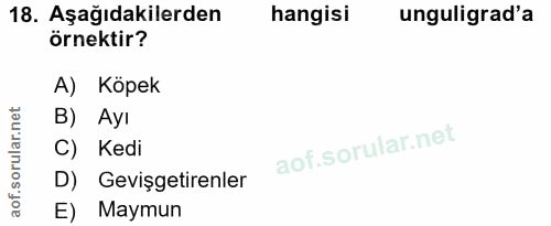 18. soru: Aşağıdakilerden hangisi unguligrad'a örnektir? A) Köpek B) Ayı C) Kedi D) Gevişgetirenler E) Maymun