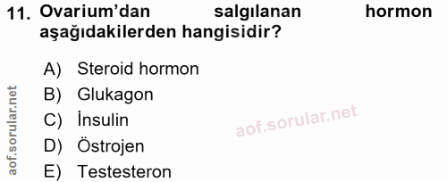 11. soru: Ovarium'dan salgılanan hormon aşağıdakilerden hangisidir? A) Steroid hormon B) Glukagon C) İnsulin D) Östrojen E) Tes…