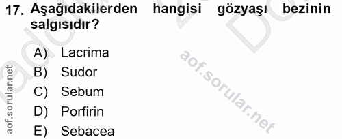 17. soru: Aşağıdakilerden hangisi gözyaşı bezinin salgısıdır? A) Lacrima B) Sudor C) Sebum D) Porfirin E) Sebacea