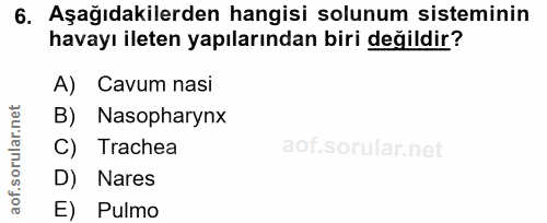 6. soru: Aşağıdakilerden hangisi solunum sisteminin havayı ileten yapılarından biri değildir? A) Cavum nasi B) Nasopharynx C)…
