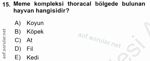 15. soru: Meme kompleksi horacal bölgede bulunan hayvan hangisidir? A) Koyun B) Köpek C) At D) Fil E Kedi