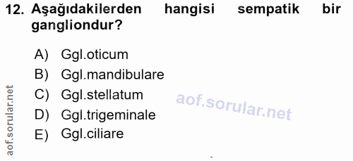 12. soru: Aşağıdakilerden hangisi sempatik bir gangliondur? A) Ggl.oticum B) Ggl.mandibulare C) Ggl.stellatum D) Ggl.trigeminal…