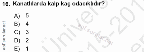 16. soru: Kanatlılarda kalp kaç odacıklıdır? A) 5 3 2 E) 1