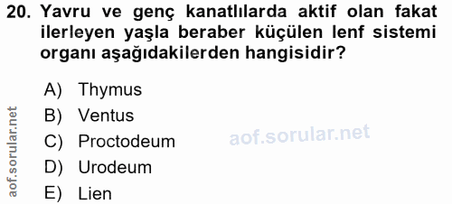 20. soru: Yavru ve genç kanatlılarda aktif olan fakat ilerleyen yaşla beraber küçülen lenf sistemi organı aşağıdakilerden hangi…