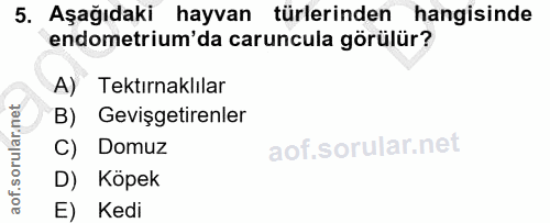 5. soru: Aşağıdaki hayvan türlerinden hangisinde endometrium'da caruncula görülür? A) Tektırnaklılar B) Gevişgetirenler C) Dom…