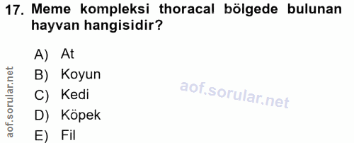 17. soru: Meme kompleksi horacal bölgede bulunan hayvan hangisidir? A) At B) Koyun C) Kedi D) Köpek E) Fil
