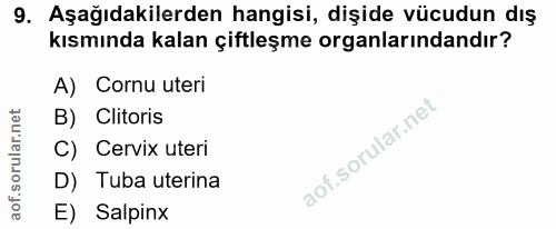 9. soru: Aşağıdakilerden hangisi, dişide vücudun dış kısmında kalan çiftleşme organlarındandır? A) Cornu uteri B) Clitoris C)…