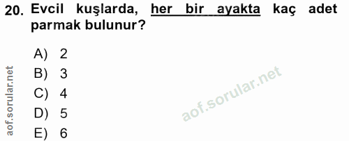 20. soru: Evcil kuşlarda, her bir ayakta kaç adet parmak bulunur? A) 2 B) 3 C) 4 D) 5 E) 6