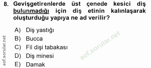 8. soru: Gevişgetirenlerde üst çenede kesici diş bulunmadığı için diş etinin kalınlaşarak oluşturduğu yapıya ne ad verilir? A)…