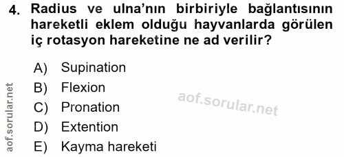 4. soru: Radius ve ula'nın birbiriyle bağlantısının hareketli eklem olduğu hayvanlarda görülen iç rotasyon hareketine ne ad ve…