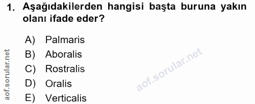 1. soru: Aşağıdakilerden hangisi başta buruna yakın olanı ifade eder? A) Palmaris B) Aboralis C) Rostralis D) Oralis E) Vertic…