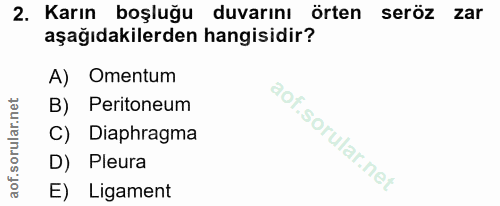 2. soru: Karın boşluğu duvarını örten seröz zar aşağıdakilerden hangisidir? A) Omentum B) Peritoneum C) Diaphragma D) Pleura E…