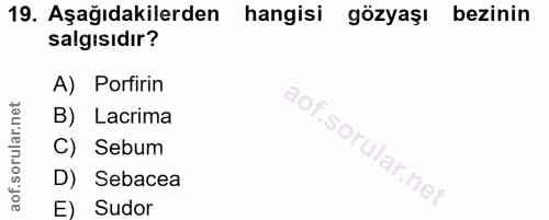 19. soru: Aşağıdakilerden hangisi gözyaşı bezinin salgısıdır? A) Porfirin 90, B) Lacrima So C) Sebum D) Sebacea E) Sudor