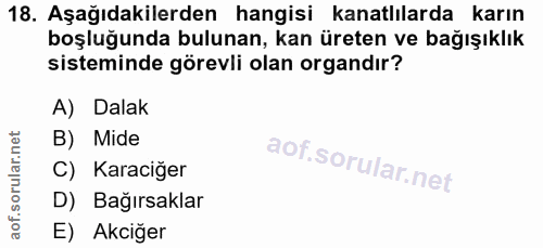 18. soru: Aşağıdakilerden hangisi kanatlılarda karın boşluğunda bulunan, kan üreten ve bağışıklık sisteminde görevli olan organ…