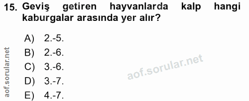 15. soru: Geviş getiren hayvanlarda kalp hangi kaburgalar arasında yer alır? A) 2.-5. B) 2.-6. C) 3.-6. D) 3.-7. E) 4.-7.