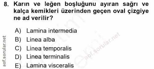 8. soru: Karın ve leğen boşluğunu ayıran sağrı ve kalça kemikleri üzerinden geçen oval çizgiye ne ad verilir? A) Lamina interm…