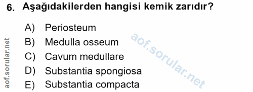 6. soru: Aşağıdakilerden hangisi kemik zarıdır? A) Periosteum B) Medulla osseum Cavum medullare D) Substantia spongiosa E) Sub…