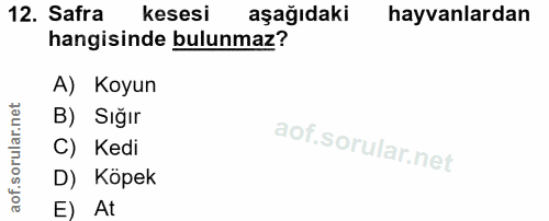 12. soru: Safra kesesi aşağıdaki hayvanlardan hangisinde bulunmaz? A) Koyun B) Sığır C) Kedi D) Köpek E) At