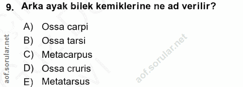 9. soru: Arka ayak bilek kemiklerine ne ad verilir? A) Ossa carpi B) Ossa tarsi C) Metacarpus D) Ossa cruris E) Metatarsus aor