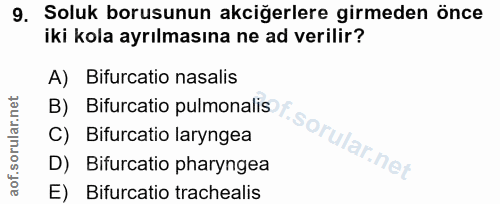 9. soru: Soluk borusunun akciğerlere girmeden önce iki kola ayrılmasına ne ad verilir? A) Bifurcatio nasalis B) Bifurcatio pul…