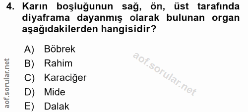 4. soru: Karın boşluğunun sağ, ön, üst tarafında diyaframa dayanmış olarak bulunan organ aşağıdakilerden hangisidir? A) Böbrek…